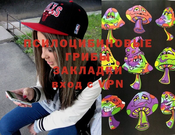 крисы Балахна