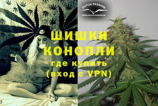 крисы Балахна